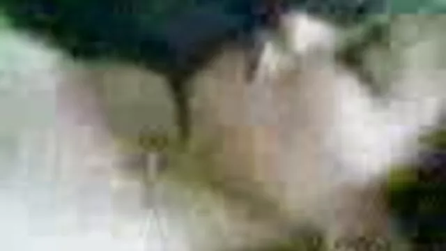 Hermosa chica consigue hentai español subtitulado culo follada
