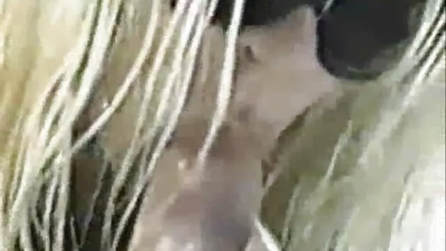 El tío se folla a dos zorras calientes, lamiendo hentai porno sub español sus coños, apretando sus culos y tetas, se las folla duro y se corre en sus bocas