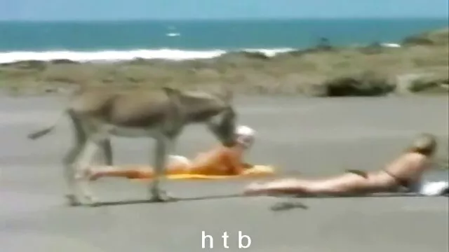 Puta necesita una carga porno anime subtitulado en su culo