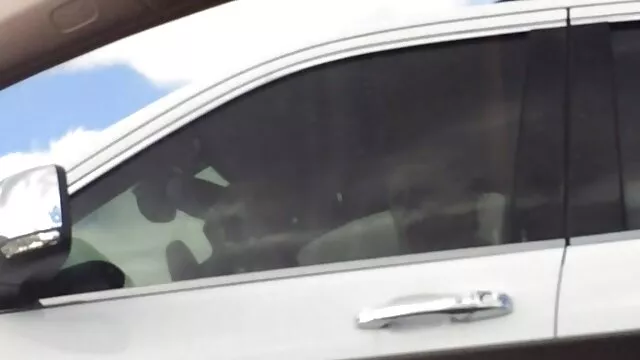 Mujer de ébano con sub español hentai un gran culo folla con un negro