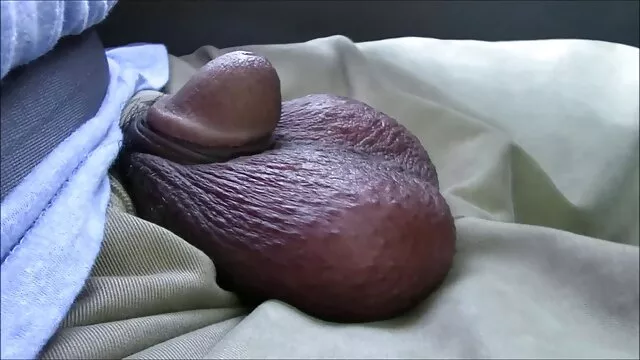 Nigga tomó la cabeza de la perra y la empuja en su polla anime hentai sub español hd