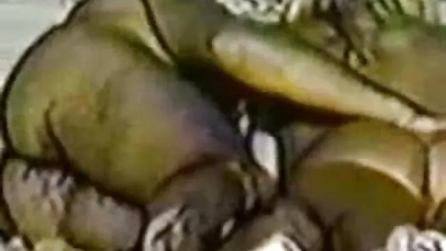 La perra le hace girar el culo xnxx sub español sexualmente